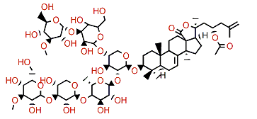 Stichloroside C2